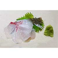 綺麗に透ける鯛のお刺身の写真素材
