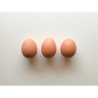 3つ並んだ茶色の卵の写真素材(1)