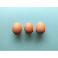 3つ並んだ茶色の卵の写真素材(2)