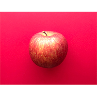 美味しそうな赤リンゴ1個の写真素材(1)