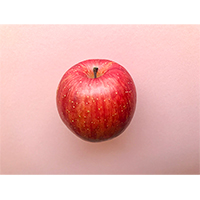美味しそうな赤リンゴ1個の写真素材(2)