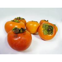柿の(1)写真