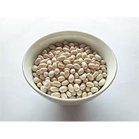 白いんげん豆200グラムの写真素材(2)