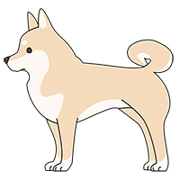 犬(柴犬)のイラスト素材(1)