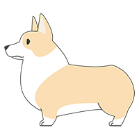 犬(コーギー)のイラスト素材(2)