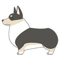 犬(コーギー)のイラスト素材(4)