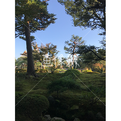 晴天の兼六園の写真素材 44 画像衆 デザインを簡単レベルアップ 写真 模様 イラストのダウンロードサイト