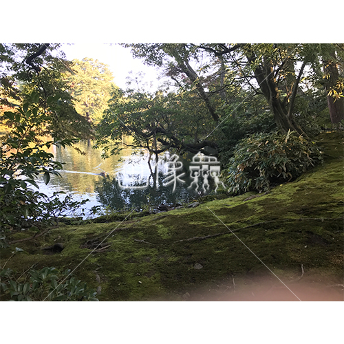 晴天の兼六園の写真素材 53 画像衆 デザインを簡単レベルアップ 写真 模様 イラストのダウンロードサイト