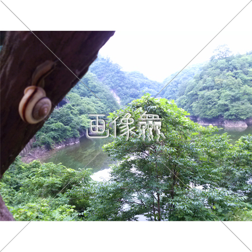 かたつむりが写る山の無料写真 1 画像衆 デザインを簡単レベルアップ 写真 模様 イラストのダウンロードサイト かたつむりが写る山の無料写真 1 画像衆 デザインを簡単レベルアップ 写真 模様 イラストのダウンロードサイト