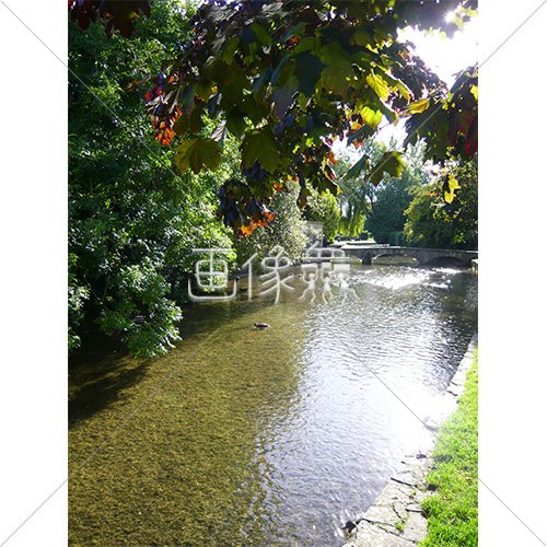 イギリスの小川の風景写真素材 7 画像衆 デザインを簡単レベルアップ 写真 模様 イラストのダウンロードサイト