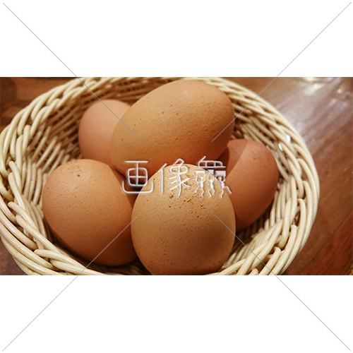 新鮮な卵の写真素材 画像衆 デザインを簡単レベルアップ 写真 模様 イラストのダウンロードサイト