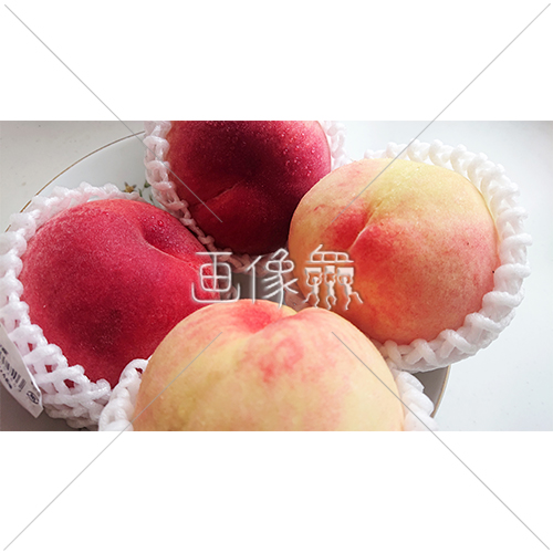 桃の写真素材 画像衆 デザインを簡単レベルアップ 写真 模様 イラストのダウンロードサイト 桃の写真素材 画像衆 デザインを簡単レベルアップ 写真 模様 イラストのダウンロードサイト