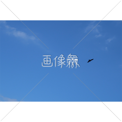 空を飛ぶ鳥の写真素材 画像衆 デザインを簡単レベルアップ 写真 模様 イラストのダウンロードサイト