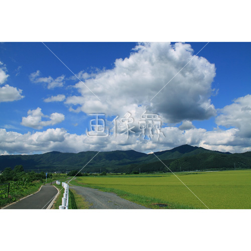 夏の青空が広がる田園風景写真 画像衆 デザインを簡単レベルアップ 写真 模様 イラストのダウンロードサイト