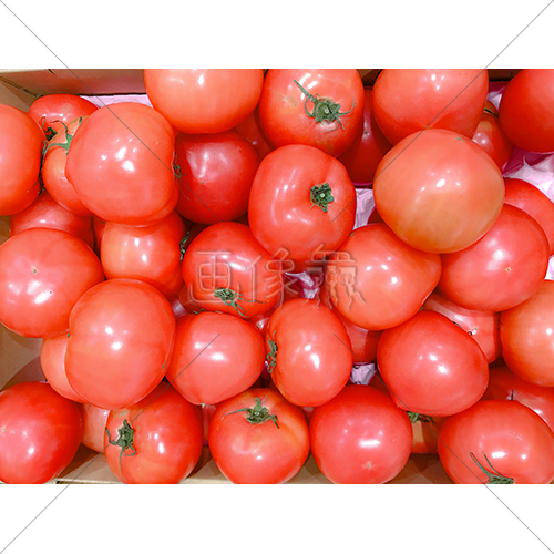 箱いっぱいのトマトの写真素材 画像衆 デザインを簡単レベルアップ 写真 模様 イラストのダウンロードサイト