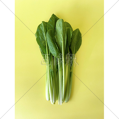 栄養たっぷりの小松菜の写真素材 2 画像衆 デザインを簡単レベルアップ 写真 模様 イラストのダウンロードサイト