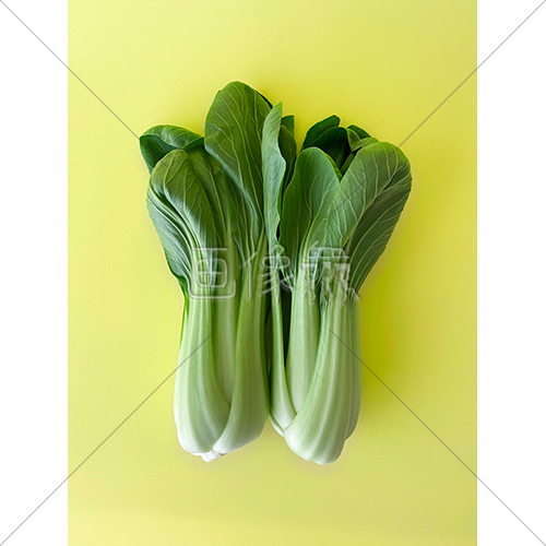 中国野菜のチンゲン菜の写真素材 2 画像衆 デザインを簡単レベルアップ 写真 模様 イラストのダウンロードサイト 中国野菜のチンゲン菜の写真素材 2 画像衆 デザインを簡単レベルアップ 写真 模様 イラストのダウンロードサイト