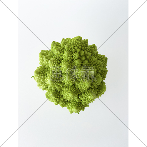 世界一美しい野菜ロマネスコの写真素材 1 画像衆 デザインを簡単レベルアップ 写真 模様 イラストのダウンロードサイト