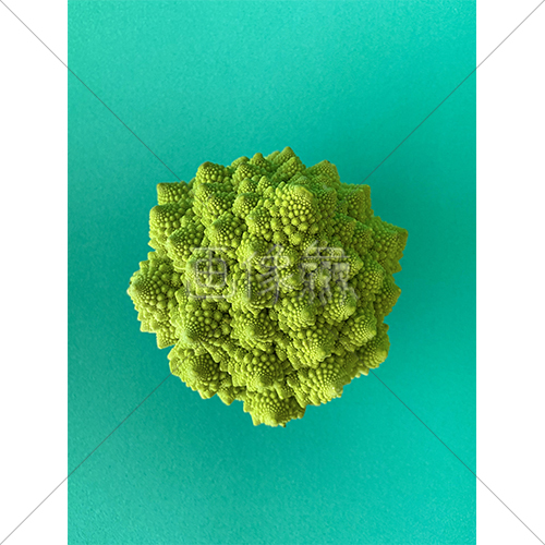 世界一美しい野菜ロマネスコの写真素材 2 画像衆 デザインを簡単レベルアップ 写真 模様 イラストのダウンロードサイト