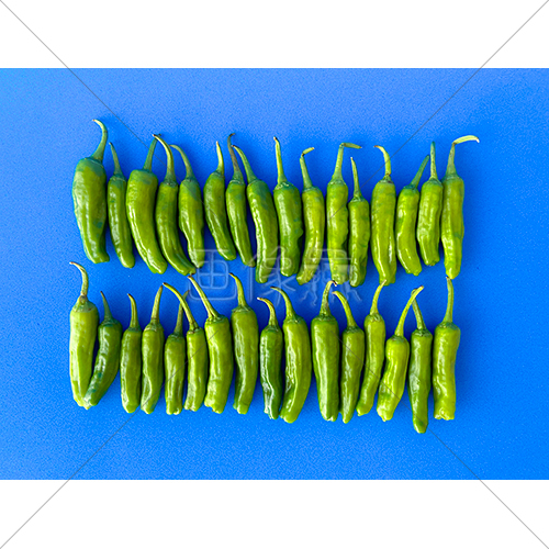 甘唐辛子ともいわれるししとうの写真素材 6 画像衆 デザインを簡単レベルアップ 写真 模様 イラストのダウンロードサイト
