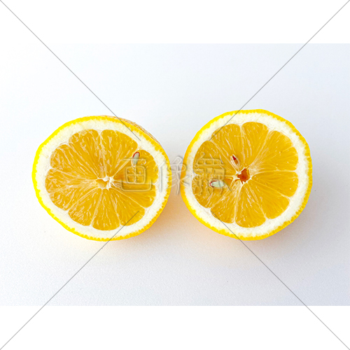 爽やかで酸っぱいレモンの写真素材 3 画像衆 デザインを簡単レベルアップ 写真 模様 イラストのダウンロードサイト