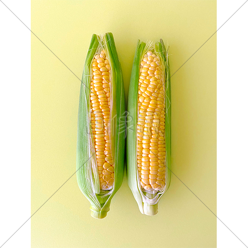 甘くて美味しいとうもろこしの写真素材 3 画像衆 デザインを簡単レベルアップ 写真 模様 イラストのダウンロードサイト 甘くて美味しいとうもろこしの写真素材 3 画像衆 デザインを簡単レベルアップ 写真 模様 イラストのダウンロードサイト