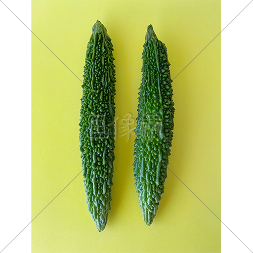 苦くて美味しいゴーヤの写真素材の写真素材 4 画像衆 デザインを簡単レベルアップ 写真 模様 イラストのダウンロードサイト