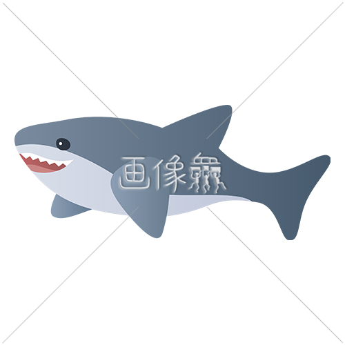 ニカッと笑うサメのイラスト素材 画像衆 デザインを簡単レベルアップ 写真 模様 イラストのダウンロードサイト