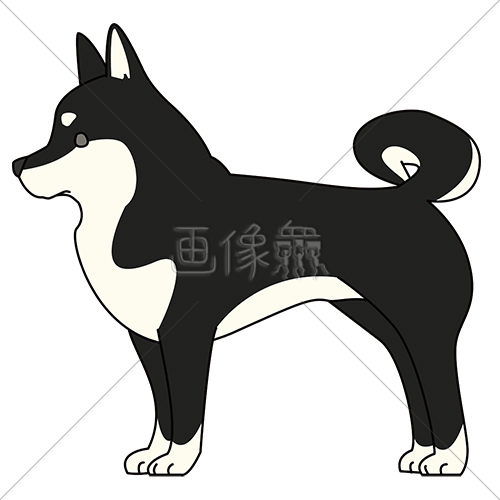 犬 柴犬 のイラスト素材 2 画像衆 デザインを簡単レベルアップ 写真 模様 イラストのダウンロードサイト