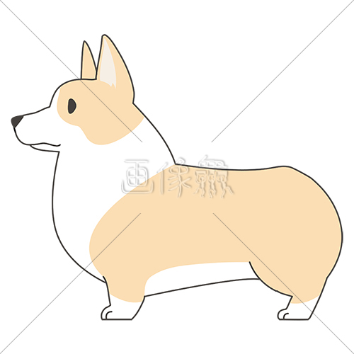 犬 コーギー のイラスト素材 2 画像衆 デザインを簡単レベルアップ 写真 模様 イラストのダウンロードサイト