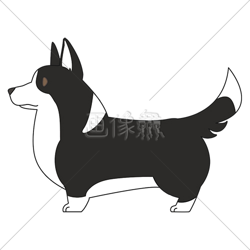 犬 コーギー のイラスト素材 3 画像衆 デザインを簡単レベルアップ 写真 模様 イラストのダウンロードサイト