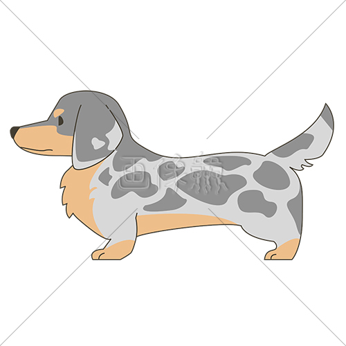 犬 ダックスフンド のイラスト素材 3 画像衆 デザインを簡単レベルアップ 写真 模様 イラストのダウンロードサイト